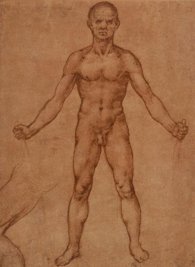 Ayakta duran bir adamın çıplak çalışması, önden by Leonardo da Vinci