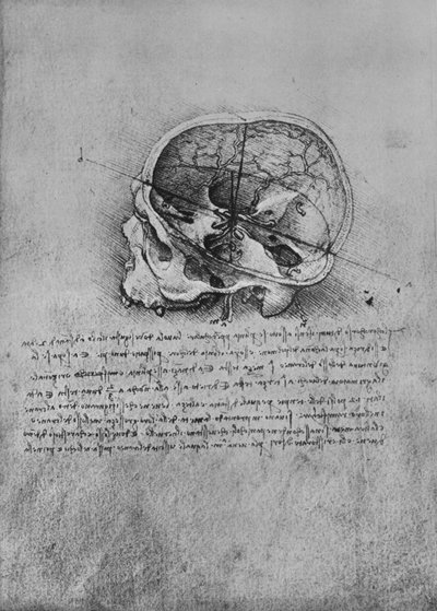 Sola Bir Kafatasının Anatomik Çizimi, c1480 1945 by Leonardo da Vinci