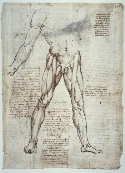 anatomi eğitimi by Leonardo da Vinci