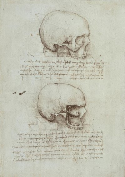 anatomi eğitimi by Leonardo da Vinci