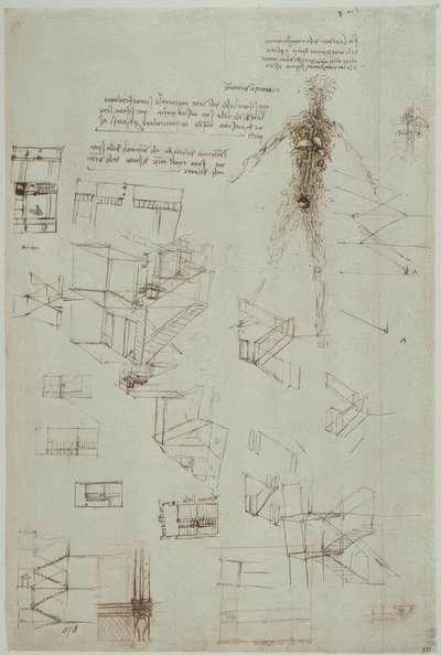 anatomi eğitimi by Leonardo da Vinci
