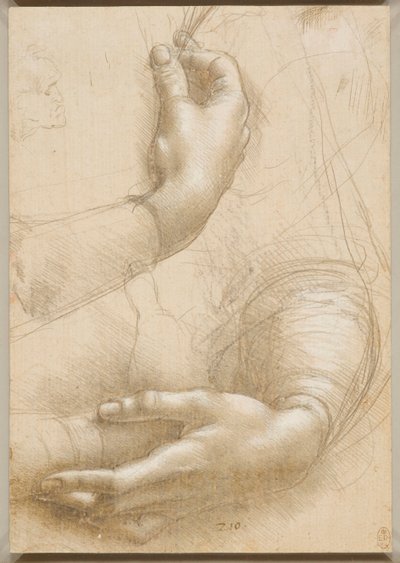 Kollar ve kadın elleri, c. 1480. by Leonardo da Vinci