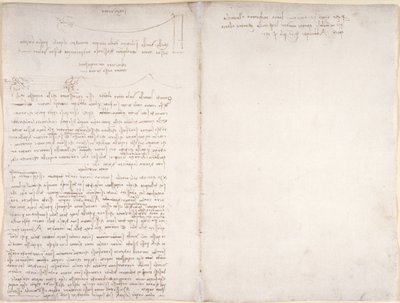 Arundel 263, f.166v, f.163 Kuşların uçuşuyla ilgili notlar ve diyagramlar, 