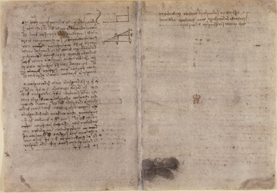 Arundel 263, f.245v, f.246r, 