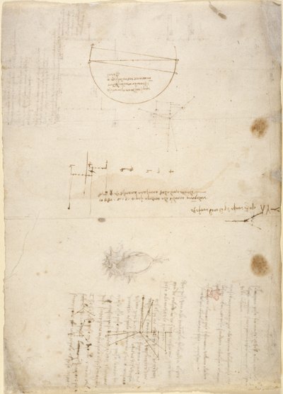 Arundel 263, f.33v 