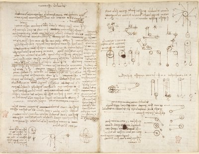 Arundel 263, f.43v, f.42, 