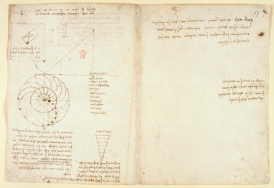 Arundel 263 f.44v, f.59 Profilde bir yüzün bir gözü ve bir burnu taslağı; 
