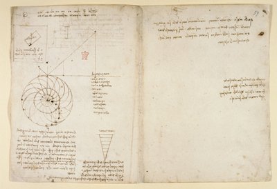 Arundel 263, f.44v, f.59 Profilde bir yüzün bir göz ve bir burnu taslağı; 