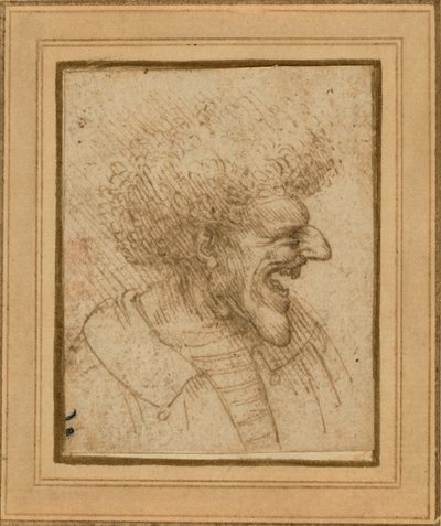  by Leonardo da Vinci