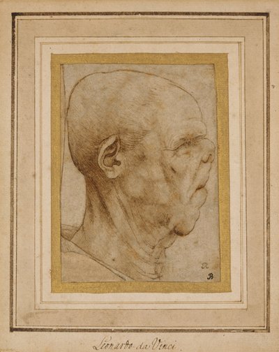 Sağdaki profilde yaşlı bir adamın kafasının karikatürü, c.1507 by Leonardo da Vinci
