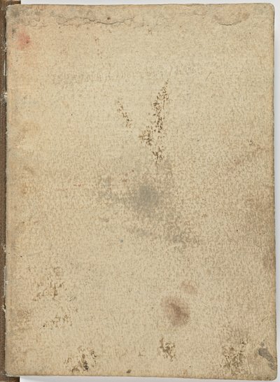 Kuşların uçuşuna ilişkin kod, c. 1505-06, kağıt el yazması, cc. 18, Kapak I by Leonardo da Vinci