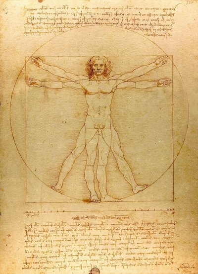  by Leonardo da Vinci