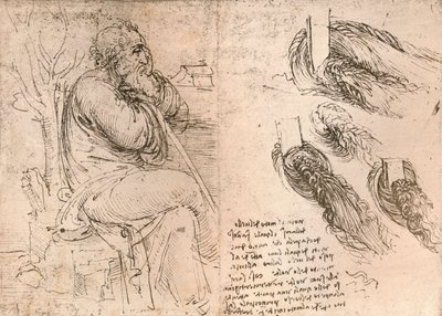 Bukleler halinde düşen saçın temsilini gösteren çizim, c1472-c1519 1883 by Leonardo da Vinci