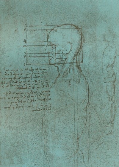 İnsan figürünün oranları teorisini gösteren çizim, c1472-c1519 1883. by Leonardo da Vinci