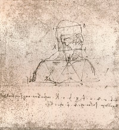 İnsan figürünün oranları teorisini gösteren çizim, c1472-c1519 1883 by Leonardo da Vinci