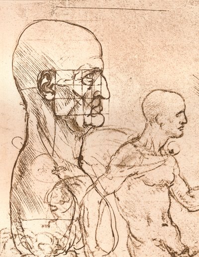 İnsan figürünün oranları teorisini gösteren çizim, c1472-c1519 1883 by Leonardo da Vinci
