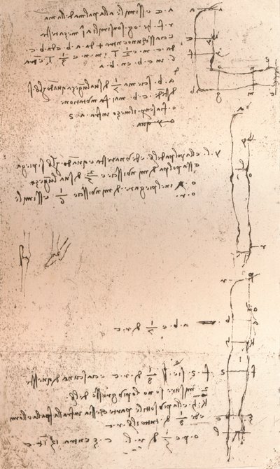 İnsan figürünün oranları teorisini gösteren çizim, c1472-c1519 1883 by Leonardo da Vinci