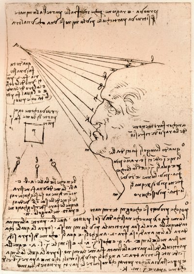 Resim pratiğini gösteren bir erkek kafa çizimi, c1472-c1519 1883 by Leonardo da Vinci