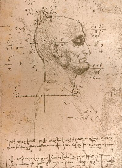Bir suçlunun kafasının çizimi, c1472-c1519 1883 by Leonardo da Vinci