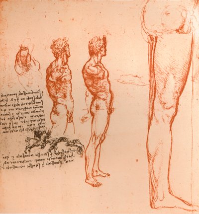 İnsan figürü ve savaşan savaşçıların hareketlerini gösteren çizimler, c1472-c1519 1883 by Leonardo da Vinci