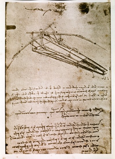  by Leonardo da Vinci