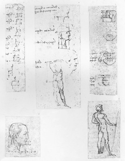 İnsan figürünün oranları teorisini gösteren beş çizim, c1472-c1519 1883 by Leonardo da Vinci