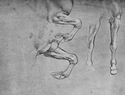 Atların Bacakları Üzerine Dört Çalışma, c1480 1945 by Leonardo da Vinci