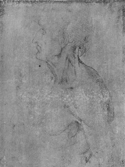 Soldaki Yaşlı Bir Adamın Başı ve Büstü, c1480 1945 by Leonardo da Vinci