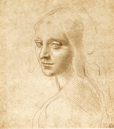 Bir kızın başı ve omuzları, c. 1490. by Leonardo da Vinci