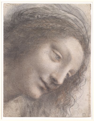 Bakire Başkanı, 1508-1512 (kart üzerinde bazı beyaz tebeşir izleri olan siyah tebeşir, kömür ve kırmızı tebeşir) by Leonardo da Vinci