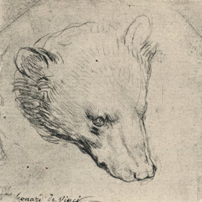 Bir Ayı Başkanı, c1480 1945 by Leonardo da Vinci