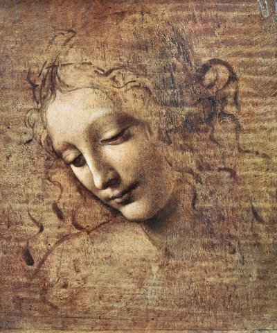 Kıvırcık Saçlı Genç Kadın Başı veya Leda (ahşap üzerine guaj) by Leonardo da Vinci