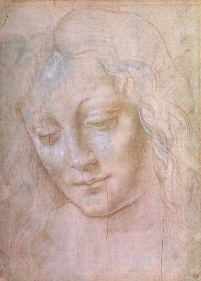 Bir kadının başı (guaj ile yükseltilmiş metal uç) by Leonardo da Vinci