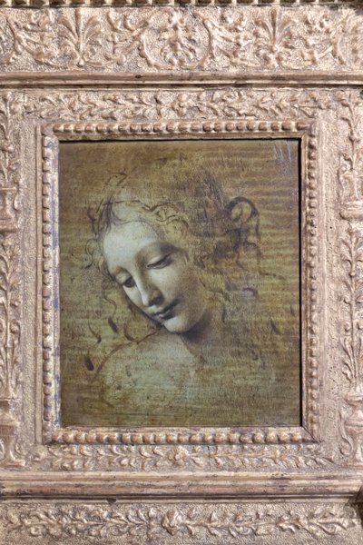 "La scapigliata" olarak adlandırılan kadın başı, 1492-1501 civarı (panel üzerine yağlıboya) by Leonardo da Vinci