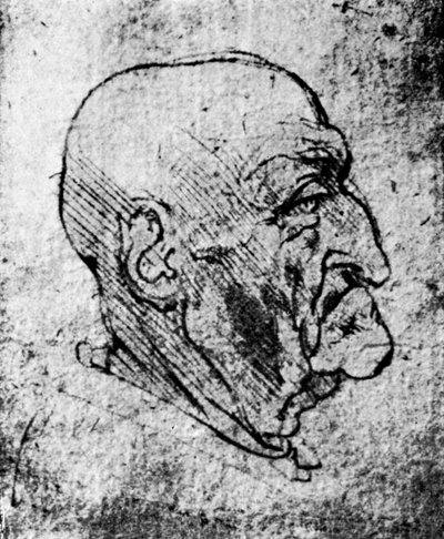 Yaşlı Bir Adamın Başı, 1913 by Leonardo da Vinci