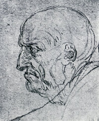 Yaşlı Bir Adamın Başı, 1913 by Leonardo da Vinci