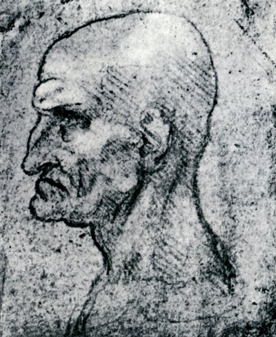 Yaşlı Bir Adamın Başı, 1913 by Leonardo da Vinci
