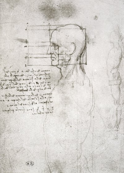 Profildeki Yaşlı Bir Adamın Başkanı, faks kopyası (kağıt üzerine kalem ve mürekkep) by Leonardo da Vinci