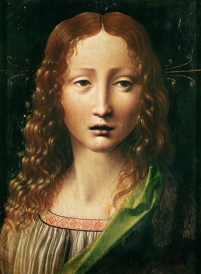 Kurtarıcı Başkanı by Leonardo da Vinci