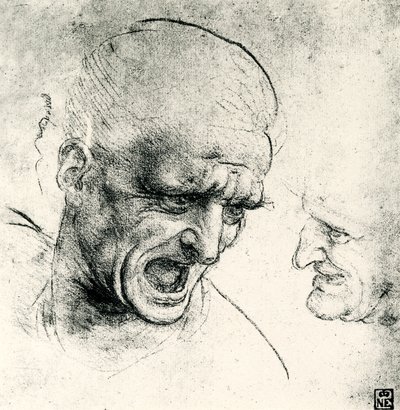 kafa çalışmaları by Leonardo da Vinci
