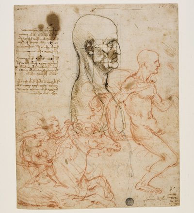 Orantı çalışması ile profilde insan büstü, c. 1490-1499. by Leonardo da Vinci