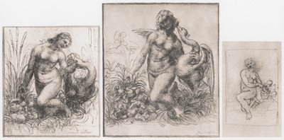 Leda ve Kuğu, c1504-1506 by Leonardo da Vinci