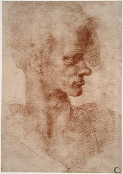 Leonardo da Vinci (Leonardo da Vinci) (1452 - 1519): Genç bir adamın karikatür portresi (Hayal edin) by Leonardo da Vinci