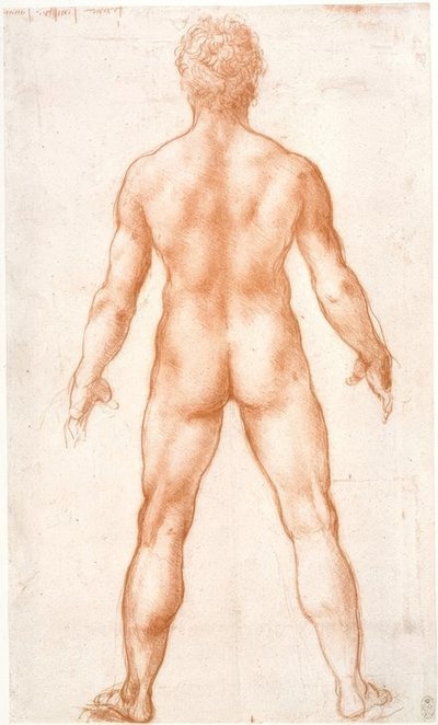 Erkek çıplak arkadan by Leonardo da Vinci