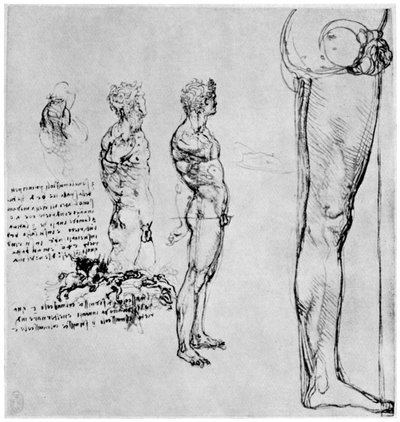 Anghiari Savaşı için çıplak çalışmalar, c1503-1505 1954 by Leonardo da Vinci