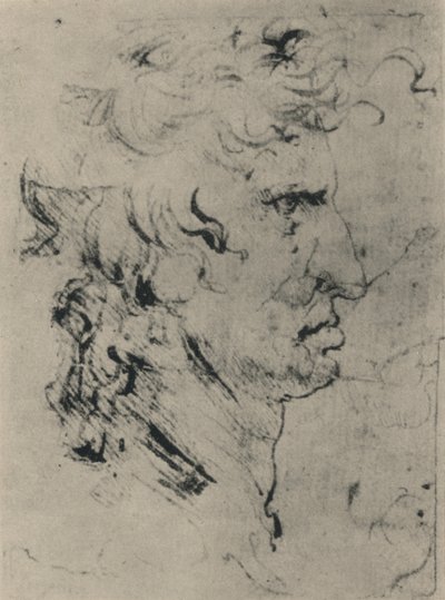 Sağdaki Bir Adamın Profili, c1480 1945 by Leonardo da Vinci