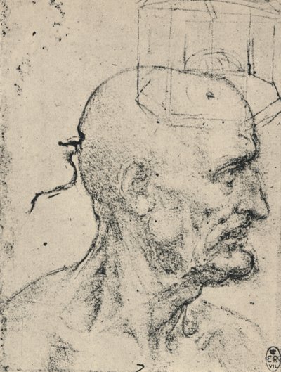 Kel Bir Adamın Sağındaki Profil, c1480 1945 by Leonardo da Vinci