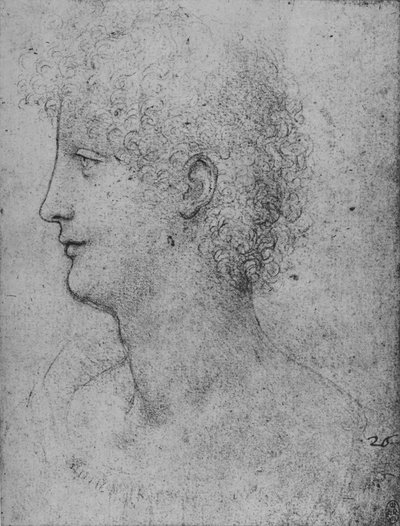 Kıvırcık Kafalı Bir Gençin Soldaki Profili, c1480 1945 by Leonardo da Vinci