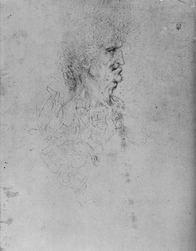 Yaşlı Bir Adamın Sağındaki Profil, c1480 1945 by Leonardo da Vinci