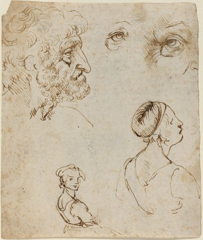 Çalışma Sayfası [rekto] by Leonardo da Vinci